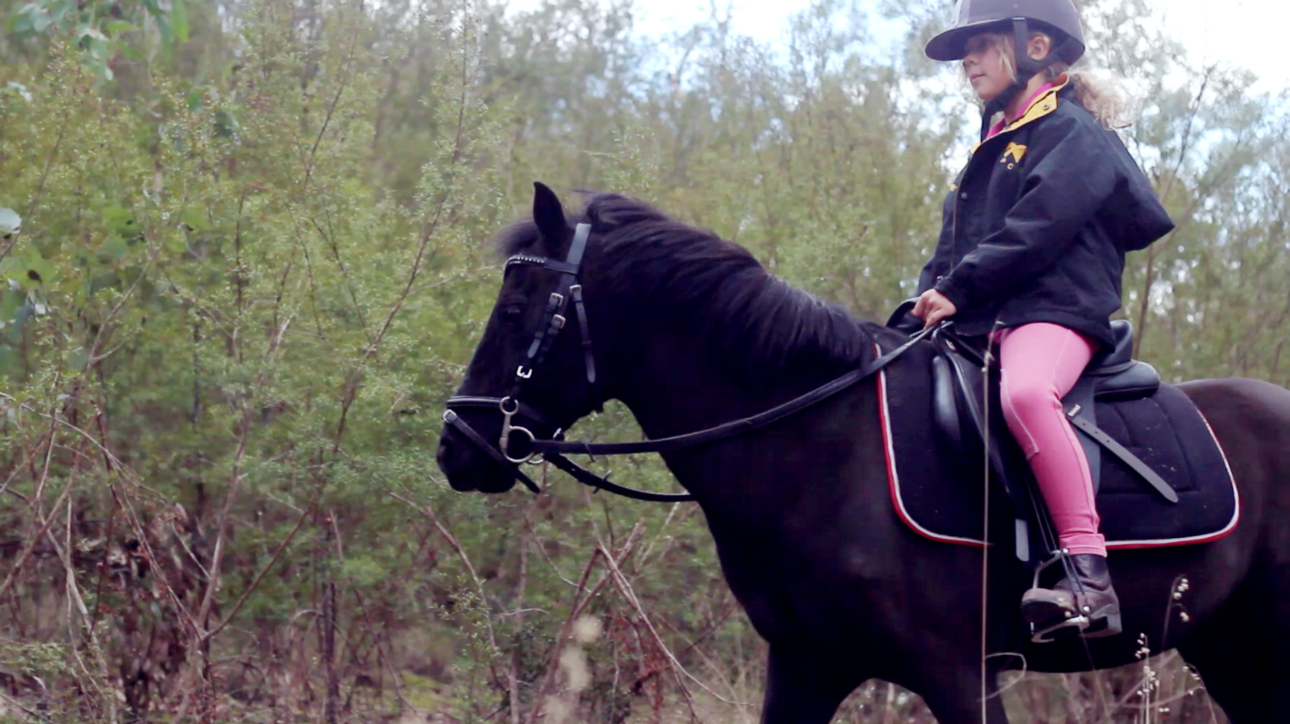 Riders on a shared trail